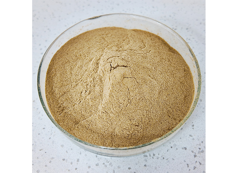 ChebulaGut