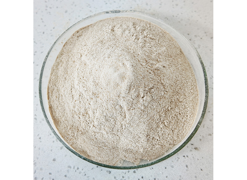 Bacillus coagulans